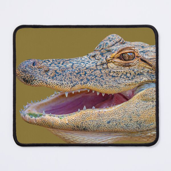 Item preview, Alligator face, is this my best side designed and sold by Dalyndigital Photography.