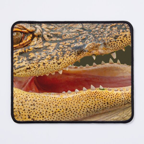 Item preview, Laughing Gator designed and sold by Dalyndigital Photography.