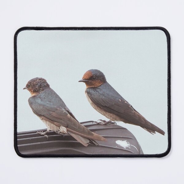 Item preview, Would You Be My Friend? designed and sold by Artprentice.