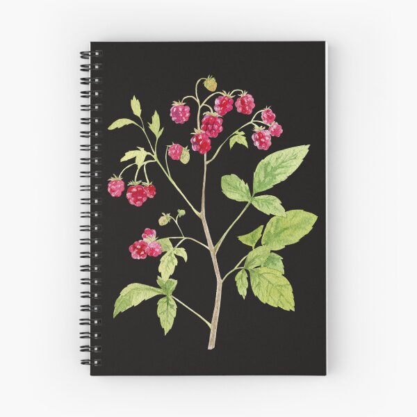 Item preview, Raspberry designed and sold by Adnan Hammuş.