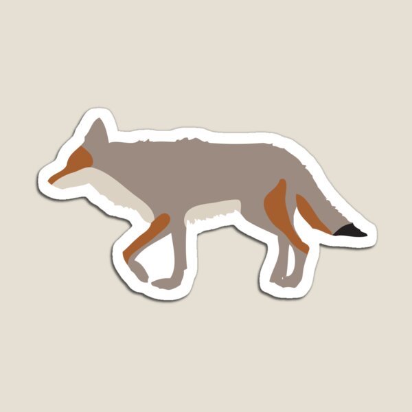 Coyote Magnet