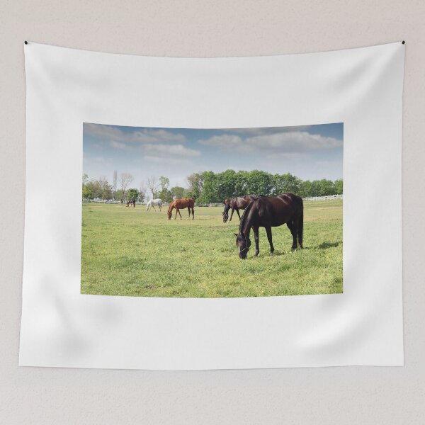 Item preview, herd of horses grazing ranch scene designed and sold by goceris.