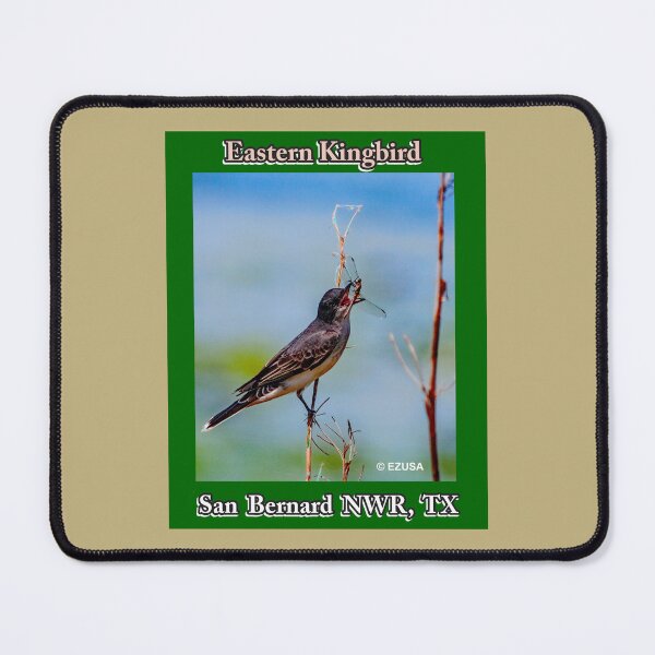 Item preview, The Perfect Gift For A Bird Lover: Eastern Kingbird, San Bernard NWR, Texas designed and sold by MoreEZUSA-Here.