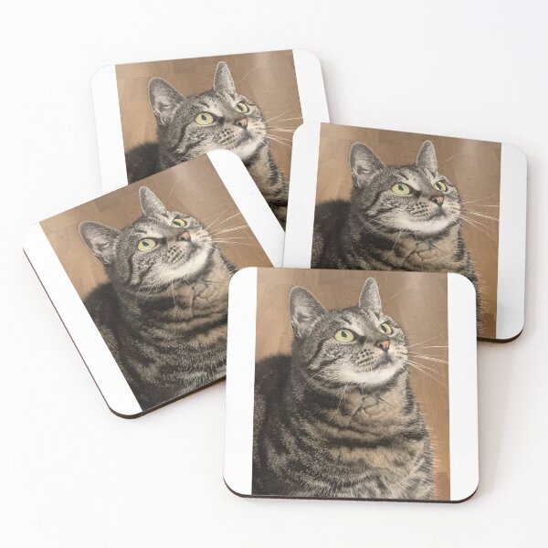 Item preview, Gato atigrado designed and sold by Designfs.