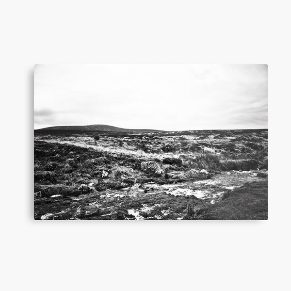 Wicklow National Park Metal Print