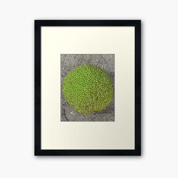 sphere Framed Art Print