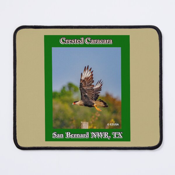 Item preview, For The Bird Lover In You: Crested Caracara, San Bernard NWR, Texas designed and sold by MoreEZUSA-Here.