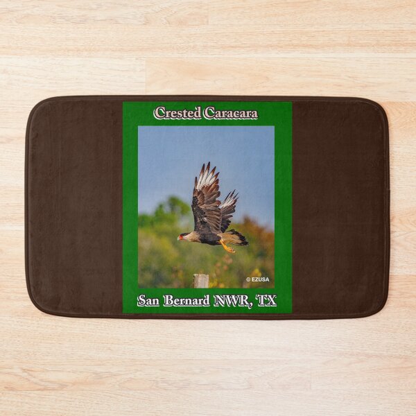 Item preview, For The Bird Lover In You: Crested Caracara, San Bernard NWR, Texas designed and sold by MoreEZUSA-Here.