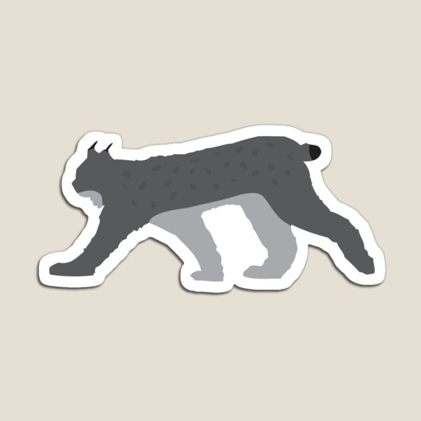 Lynx Magnet
