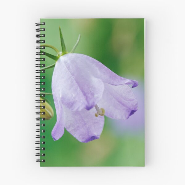 Aperçu de l'œuvre Campanula rotundifolia créée et vendue par Chris Burrows.