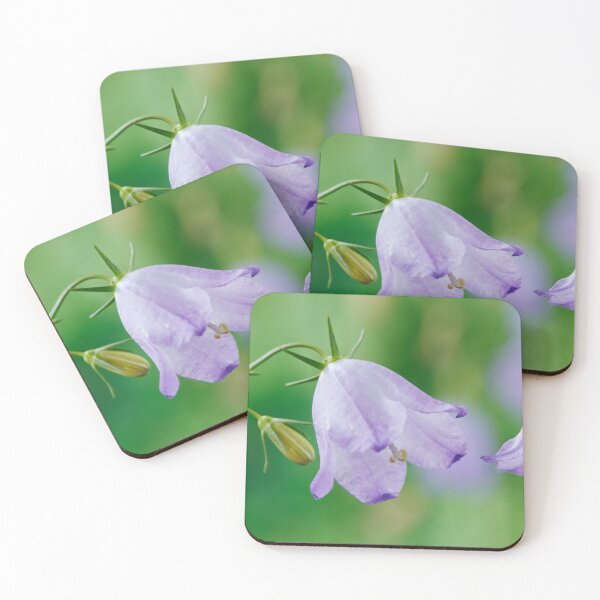 Item preview, Campanula rotundifolia  Common harebell   designed and sold by Chris Burrows.