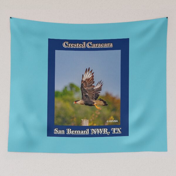 Item preview, Give The Bird To Your Lover: Crested Caracara, San Bernard NWR, Texas designed and sold by MoreEZUSA-Here.