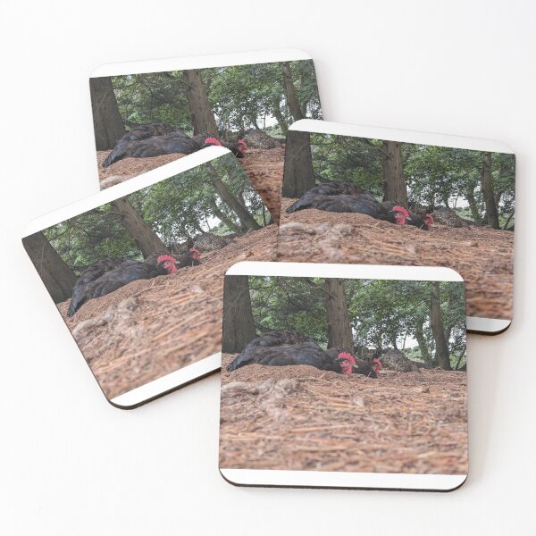 Item preview, Brownsea Island Chickens designed and sold by StatementGeek.