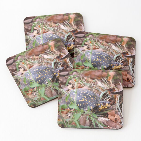 Item preview, Box turtle in the grass designed and sold by McFleur's Lens.