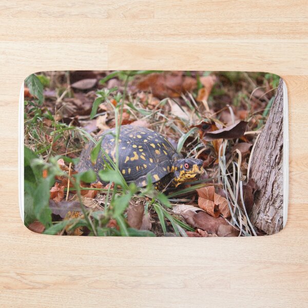 Item preview, Box turtle in the grass designed and sold by McFleur's Lens.