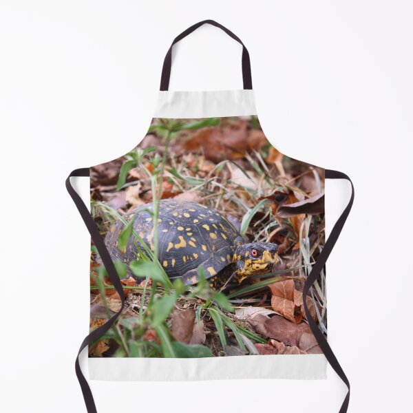 Item preview, Box turtle in the grass designed and sold by McFleur's Lens.