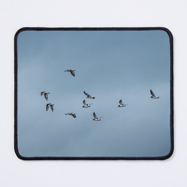 Item preview, Irish seabirds in a cloudy Irish sky designed and sold by Ireland Photography.