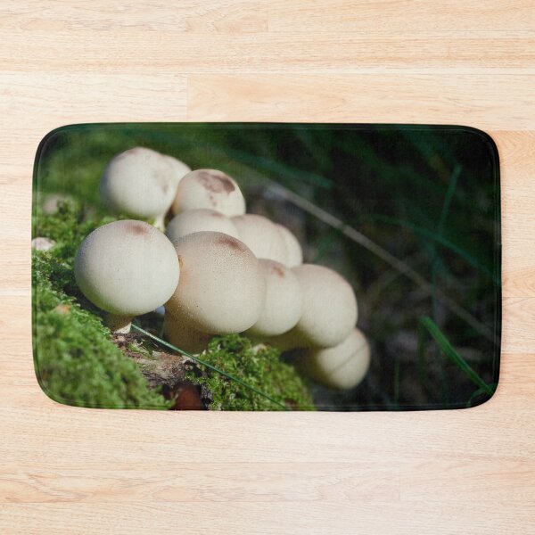 Item preview, The group. Stump Puffball designed and sold by Jouko Lehto Photography.