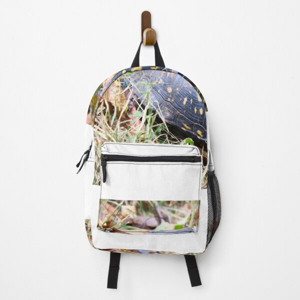Item preview, box turtle in the leaves designed and sold by McFleur's Lens.