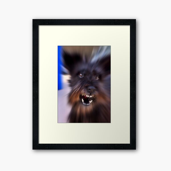 En Garde! Framed Art Print
