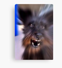 En Garde! Metal Print
