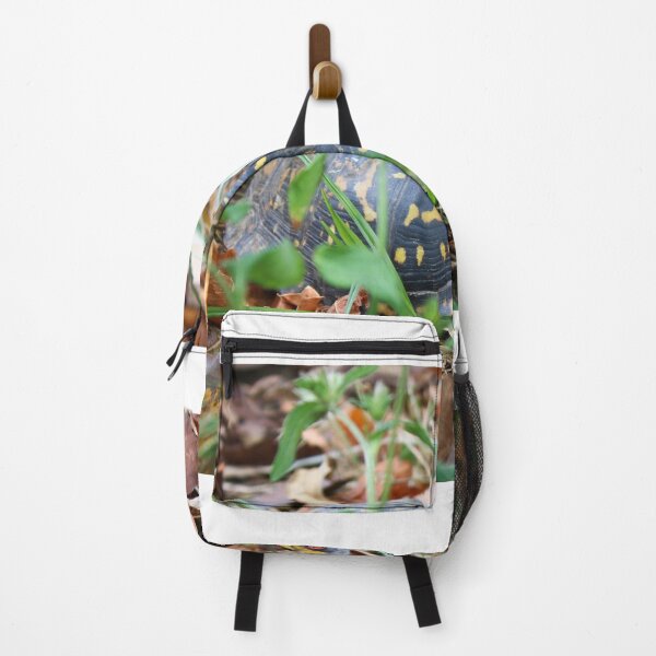 Item preview, Box turtle on the ground designed and sold by McFleur's Lens.