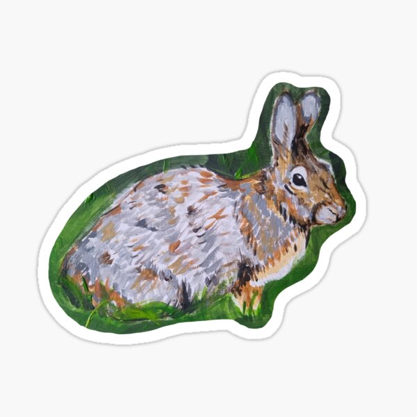 Cute Bunny Rabbit with big round eyes | Sticker