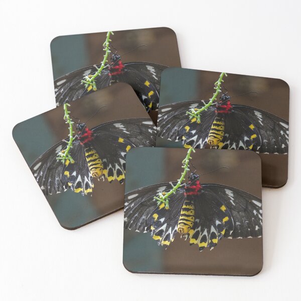 Item preview, Attached designed and sold by Tim Dusenberry.