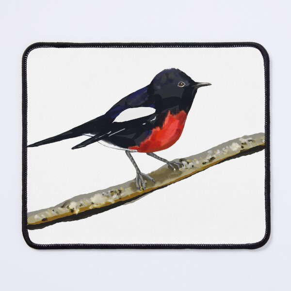 Item preview, Painted Redstart on a branch designed and sold by VerdeDoodleDuck.