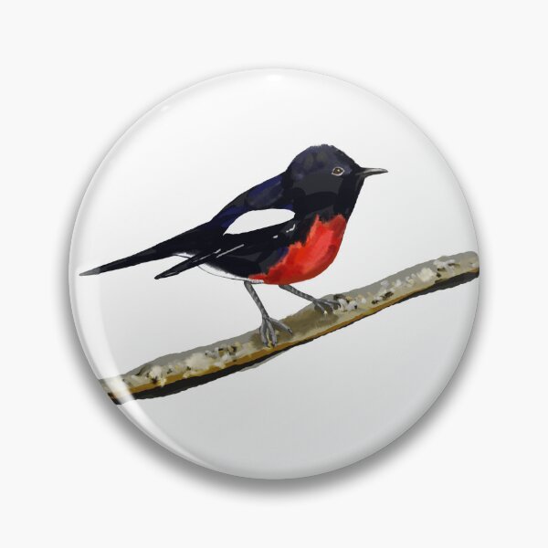 Item preview, Painted Redstart on a branch designed and sold by VerdeDoodleDuck.