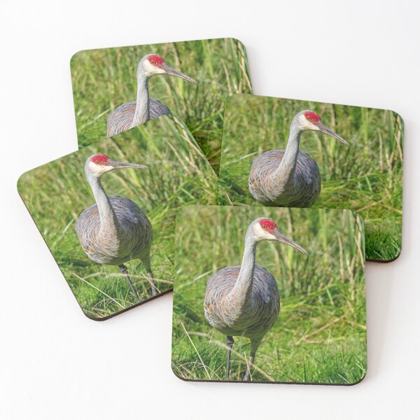 Item preview, Sandhill Crane 10, Madison, Wisconsin designed and sold by StevenRalserPhoto.