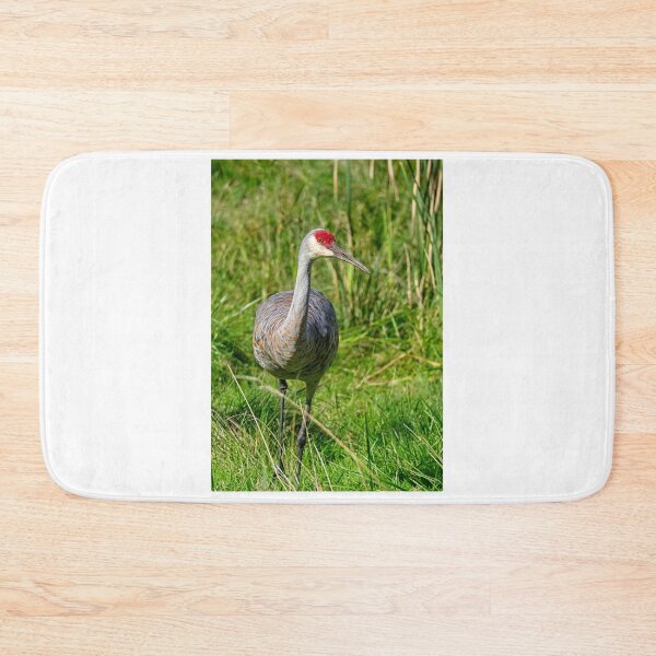 Item preview, Sandhill Crane 10, Madison, Wisconsin designed and sold by StevenRalserPhoto.