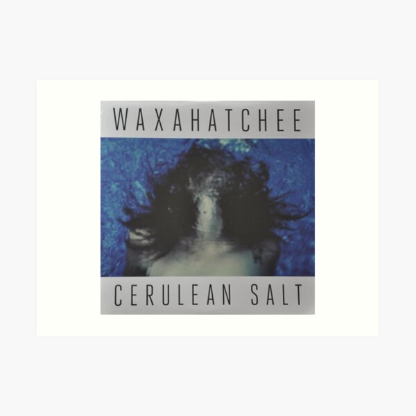 Waxahatchee - cerulan salt vinyl LP sleeve art fan art Art Print