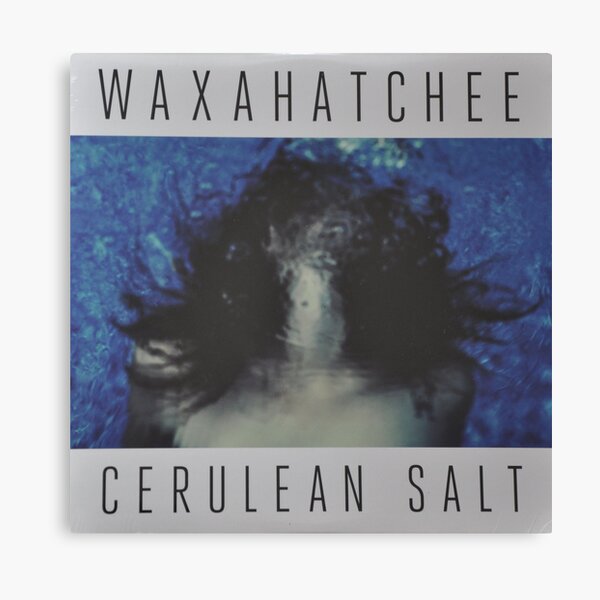 Waxahatchee - cerulan salt vinyl LP sleeve art fan art Canvas Print