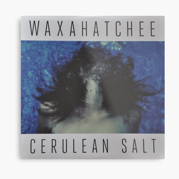 Waxahatchee - cerulan salt vinyl LP sleeve art fan art Metal Print