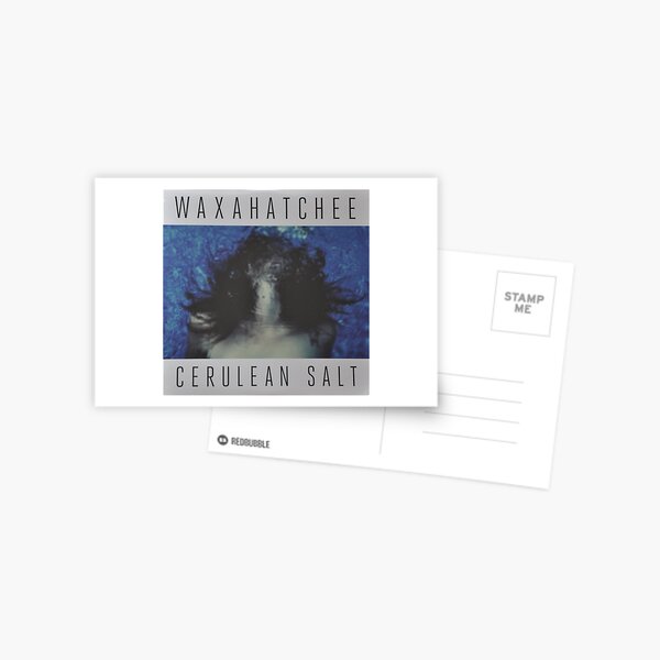 Waxahatchee - cerulan salt vinyl LP sleeve art fan art Postcard