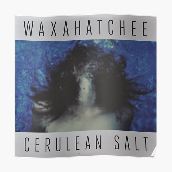 Waxahatchee - cerulan salt vinyl LP sleeve art fan art Poster