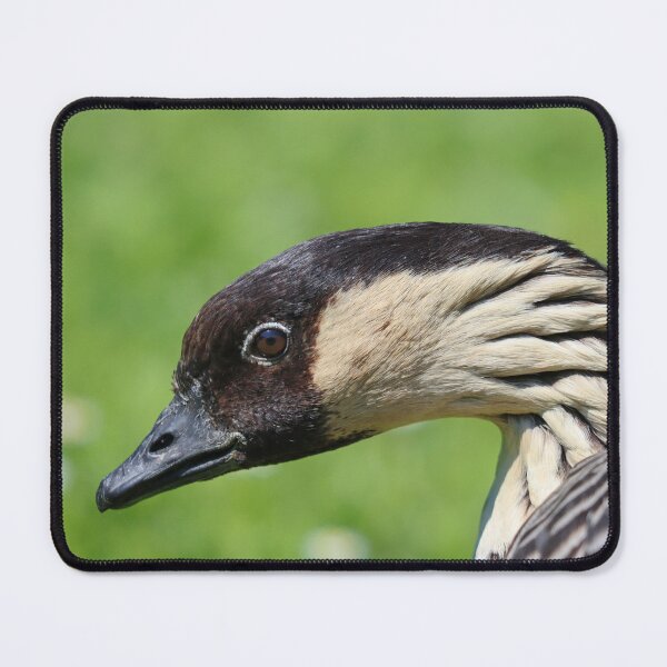 Item preview, Nene  designed and sold by GreyFeatherPhot.