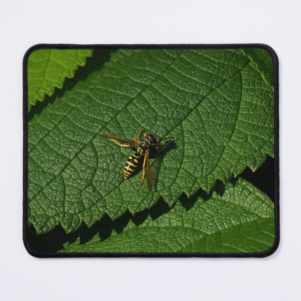 Item preview, Lounging Yellowjacket designed and sold by TheeForestFox Shop.