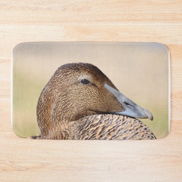 Item preview, Female eider duck designed and sold by GreyFeatherPhot.