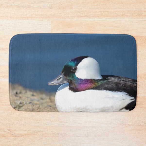 Item preview, Bufflehead duck designed and sold by GreyFeatherPhot.