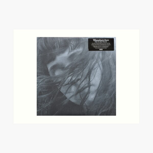 Waxahatchee - out in the storm vinyl LP sleeve art fan art Art Print