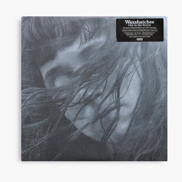 Waxahatchee - out in the storm vinyl LP sleeve art fan art Canvas Print