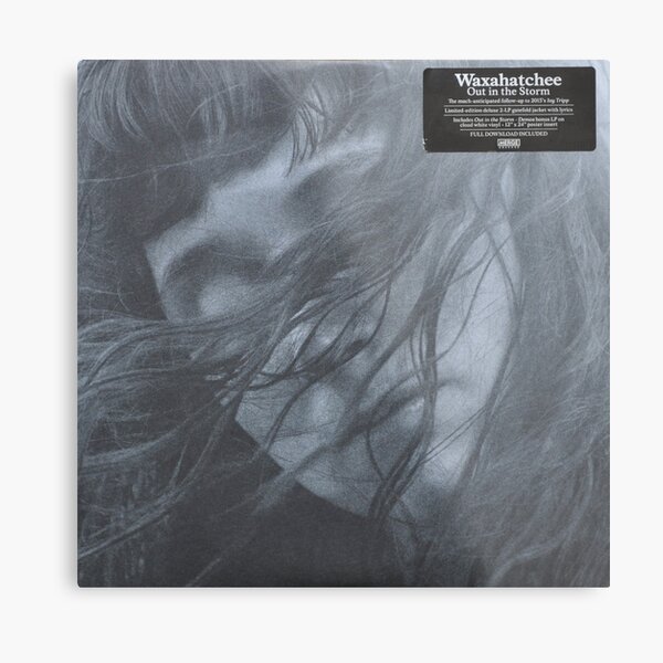 Waxahatchee - out in the storm vinyl LP sleeve art fan art Metal Print