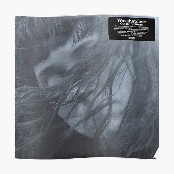 Waxahatchee - out in the storm vinyl LP sleeve art fan art Poster