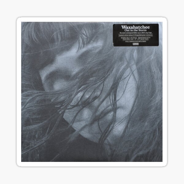 Waxahatchee - out in the storm vinyl LP sleeve art fan art Sticker