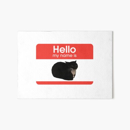 Cat Shitpost meme Art Board Print for Sale by Season's Store