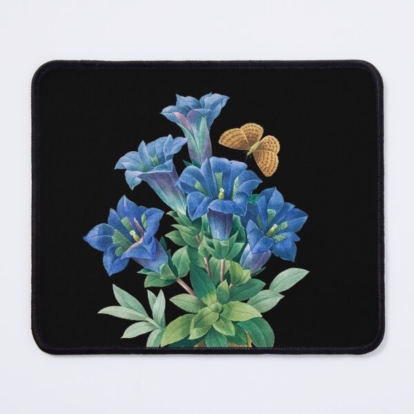Item preview, Blue Trumpet Gentian by Pierre-Joseph Redouté + Scientific name designed and sold by 29Bumblebee.