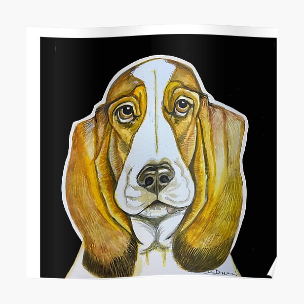 Basset Hound Poster