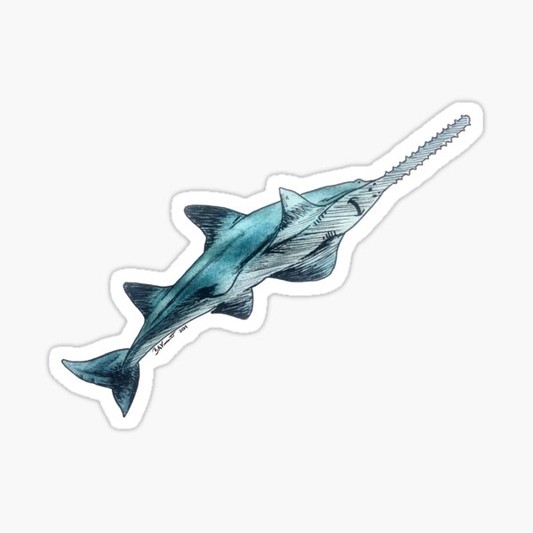 Item preview, Smalltooth Sawfish, black background designed and sold by Bridget Vincent.
